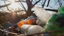 Гладков заявил, что в Белгородской области изменят подход к вывозу мусора в 2024 году