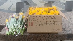 «Белгород, не сдавайтесь»: магазин цветов поддержал горожан бесплатными тюльпанами