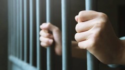 Жителю Старого Оскола грозит до семи лет лишения свободы за контрабанду сильнодействующих веществ