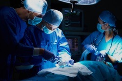 Белгородские врачи впервые успешно пересадили сердце пациенту
