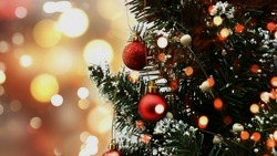 Белгородцам рассказали, куда нельзя выбрасывать новогоднюю елку