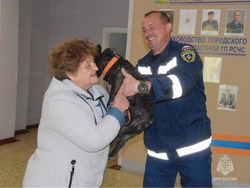 Белгородские спасатели вытащили из коллектора бульдога Жорика и нашли его хозяйку