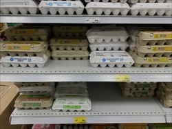 ФАС начала проверку стоимости куриных яиц в крупнейших торговых сетях в Белгородской области