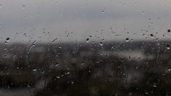 Дожди ожидаются в Белгородской области во вторник