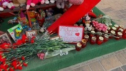 «Москва, мы с тобой»: белгородцы несут цветы в память о погибших в «Крокусе» к инсталляции «Сердце» 