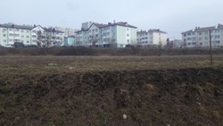 Петровский парк благоустроят в Губкине Белгородской области за 21 млн рублей