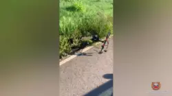 Девятилетний мальчик на электросамокате попал под машину в Белгородской области
