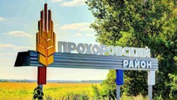  Новость о прилетевшем снаряде неподалёку от села Новосёловка опровергли