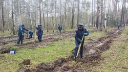Парк к 100-летию пожарного надзора появился в Белгороде