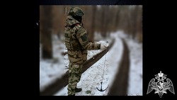 Росгвардейцы обезвредили американскую кассетную мину ВСУ в белгородском приграничье