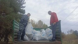 Белгородцы собрали на берегах Северского Донца около пяти кубометров мусора