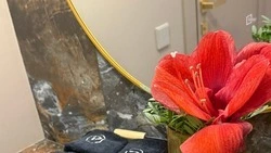 Скандал разгорелся вокруг экзотического спа-салона в Белгороде