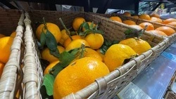 Психолог рассказала белгородцам, какие продукты поднимают настроение