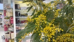 Аромасвечи, плед и водонагреватель: Что подарить на 8 марта белгородке?