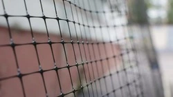 Детские сады Белгорода начали закрывать антидроновыми сетками