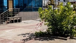 В Белгороде восстановили движение на пяти перекрёстках после ночной атаки БПЛА