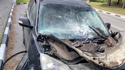 Две женщины ранены при атаке дрона на автомобиль в Шебекино 