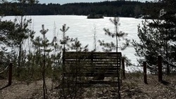 Белгородцев предупредили о колебаниях уровня в воды в реках в ближайшие несколько дней