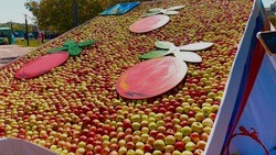 «Дешевле на Севере купить»: белгородцы недовольны высокими ценами на корочанские яблоки