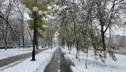 Белгород замело снегом в ночь на четверг