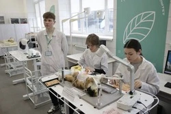 От педагогики до металлургии: более 8,5 тысяч белгородских студентов осваивают новые профессии 