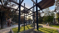 Белгородцы могут стать волонтёрами Всероссийского голосования за объекты благоустройства