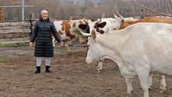 Количество соцконтрактов среди молодежи Белгородской области выросло в 5 раз за два года