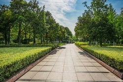  Ремонт тротуарного покрытия площадки в парке Победы обойдется почти в 2 млн рублей