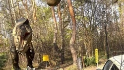 В Белгородском зоопарке динозавры вышли из спячки