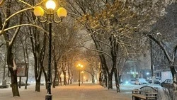 Белгородскую область заметёт снегом в предстоящие выходные