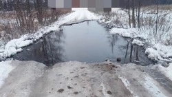 Бобры мешают жителям Яковлевского округа добираться на работу 