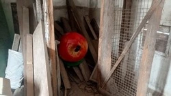 Белгородцу грозит до двух лет колонии за попытку «приватизировать» символ Корочанского округа