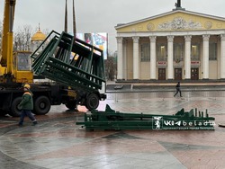 Главную городскую ёлку начали собирать на Соборной площади в Белгороде