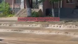 Улицу Садовую в Белгороде затопило бьющей из асфальта водой