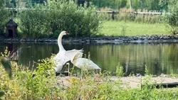 Зоопарк и «Пикник-парк» Белгорода временно закрыты из-за атак дронов ВСУ