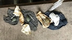 Жителя Белгородской области будут судить за незаконное хранение гранат