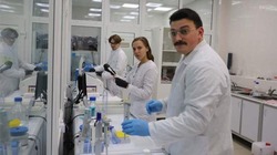 Белгородские учёные разработали препарат для лечения мышечной дистрофии 
