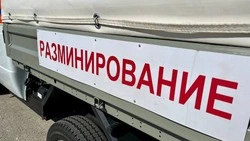 Сапёры разминировали ещё 130 га земли в Белгородской области