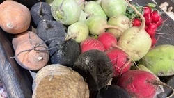 С начала года Белгородская область экспортировала более 83 тысяч тонн сельхозпродукции
