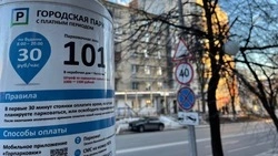Годовое обслуживание парковок в Белгороде обойдётся мэрии в 11,4 млн рублей
