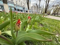 В Белгороде завершился отопительный сезон