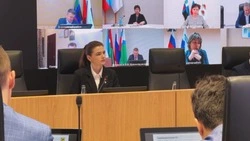 Дублёр губернатора Белгородской области Елизавета Бахмудова провела заседание Оперштаба