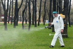 4 мая в Белгороде пройдёт обработка общественных пространств от клещей