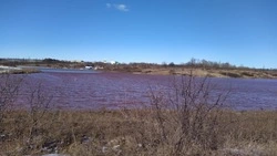 Росприроднадзор требует по суду у Яковлевского ГОКа более 110 млн рублей за загрязнение реки