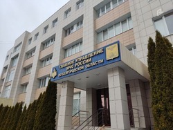 Начальник ГУ МЧС по Белгородской области Потапов: 1 958 пожаров произошло в регионе в 2024 году