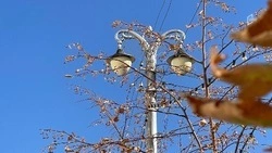 Годовое обслуживание уличного освещения Старооскольского округа обойдётся почти в 28 млн рублей