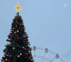 Мэрия Белгорода потратила более 11 млн рублей на покупку новогодней ели и украшений к ней