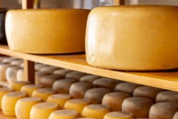 «Я достаю из широких штанин»: белгородец в брюках вынес из магазина более 5 кг сыра