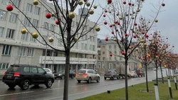 МЧС предупреждает белгородцев о возможной гололедице в среду  