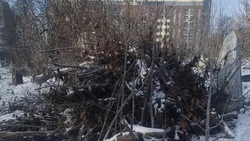 «Горы мусора и кучи веток»: белгородцы просят привести в порядок старое кладбище на Попова